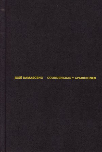 José Damasceno. Coordenadas y apariciones