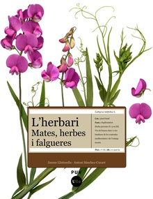 L'herbari: mates, herbes i falgueres