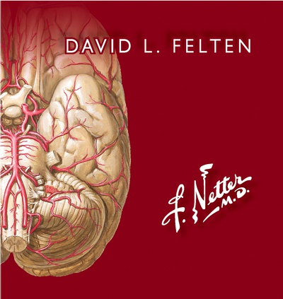 Netter. Flashcards de neurociencia (3ª ed.)