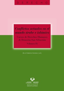 Conflictos actuales en el mundo árabe e islámico. Cursos de Derechos Humanos de Donostia - San Sebastián. Vol. IX