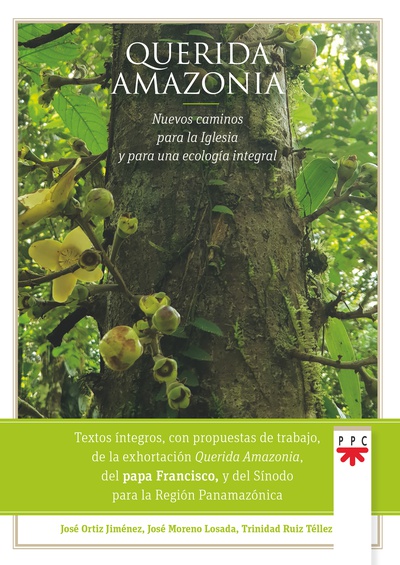 Querida Amazonia