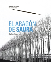 El Aragón de Saura
