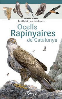 Ocells rapinyaires de Catalunya