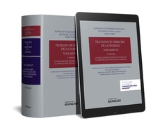 Tratado de Derecho de la Familia (Volumen VI) (Papel + e-book)