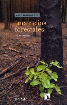 Incendios forestales : una visión desde la ecología