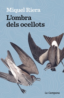 L’ombra dels ocellots