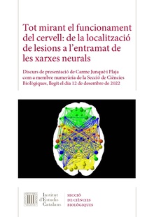 Tot mirant el funcionament del cervell: de la localització de lesions a l'entramat de les xarxes neurals