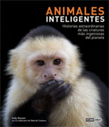 Animales inteligentes