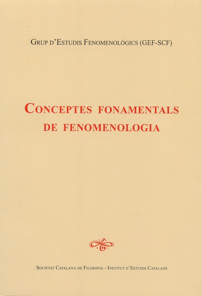 Conceptes fonamentals de fenomenologia