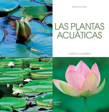 Las plantas acuáticas - Cultivo y cuidados