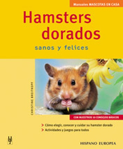 Hamsters dorados
