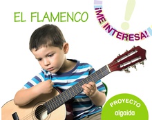 Proyecto "El Flamenco"