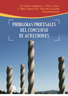 Problemas procesales del concurso de acreedores.