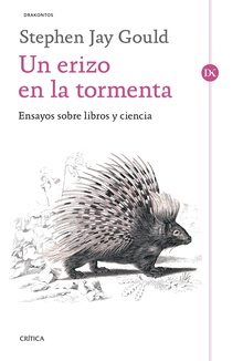 Un erizo en la tormenta