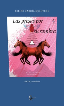 Las presas por su sombra