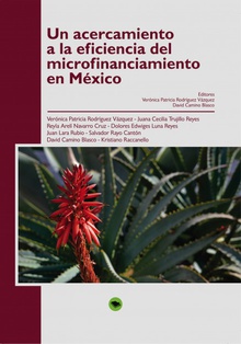 Un acercamiento a la eficiencia del microfinanciamiento en México
