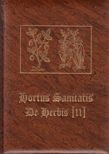 Hortus Sanitatis. De herbis II