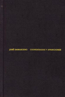 José Damasceno. Coordenadas y apariciones