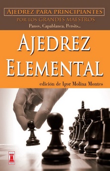 Ajedrez elemental