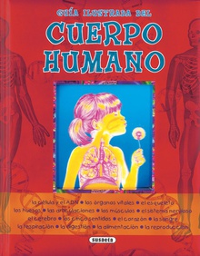 Guía ilustrada del cuerpo humano