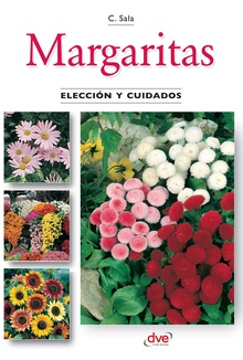 Margaritas - Elección y cuidados