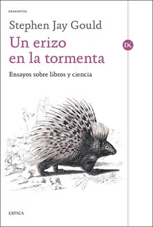 Un erizo en la tormenta