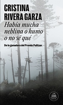 Había mucha neblina o humo o no sé qué (Mapa de las lenguas)