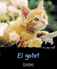 El gatet